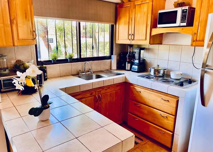 Sea Bird #2 1 Bed 2 Bath Charming Loft In Palm Apartment Coco