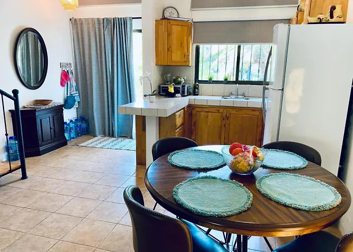 Sea Bird #2 1 Bed 2 Bath Charming Loft In Palm Coco