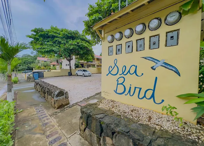 Sea Bird #2 1 Bed 2 Bath Charming Loft In Palm Apartment Coco